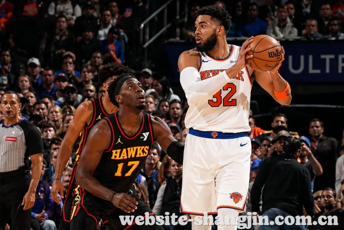 NBA季后赛精彩回顾